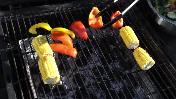 Fresh Grilled Vegetables on Barbecue for Dinner alt