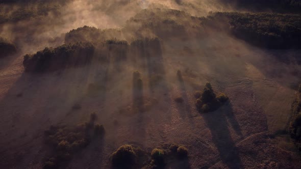 Flying high over valleys and forests in morning fog