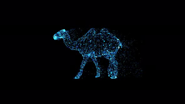 Camel wireframe particle