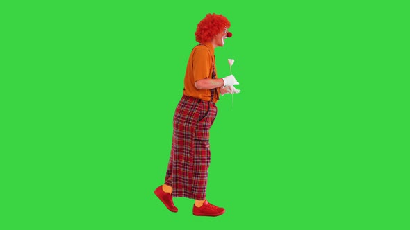 Funny Clown Holding a Paper Rose Flower and Walking on a Green Screen Chroma Key alt