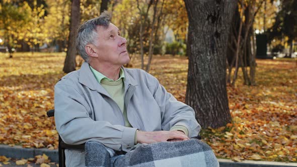 Mature Caucasian Upset Senior Retire Man Grandfather Pensioner Sitting Alone Outdoors in Wheelchair alt