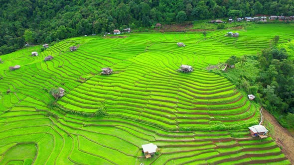 An aerial view over the beautiful rice terraces alt
