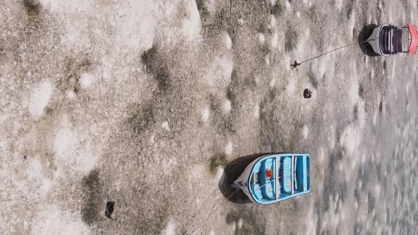 Vertical Video of Low Tide in the Ocean Near the Coast of Zanzibar Tanzania Aerial View alt