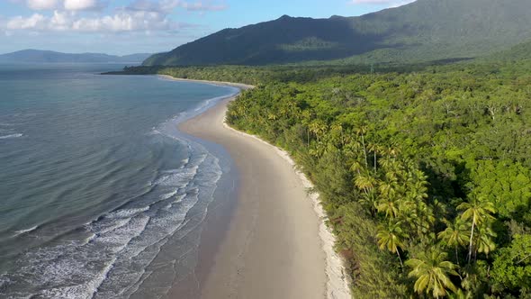 Cape Tribulation aerial of sunny Myall beach with palm trees, in Daintree Rainforest, Queensland, Au alt