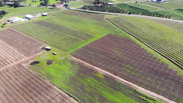 Aerial View of a Farmland