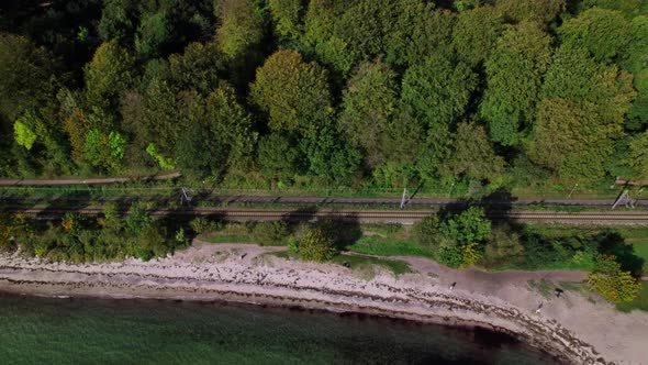 Drone Over Sea And Train Track Next To Lush Urban Forest alt