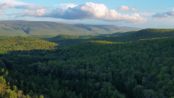 Aerial drone video footage of a vast endless forest with rolling green hills in the Appalachian Moun alt