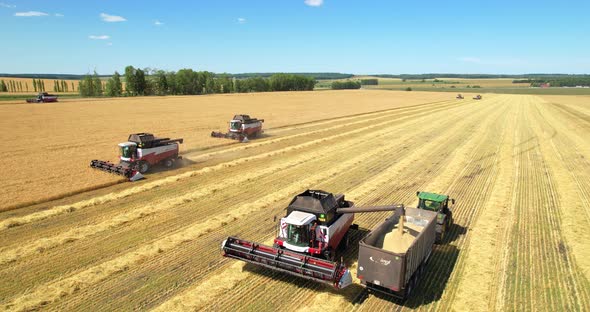 Combine Harvesters Harvest Crops