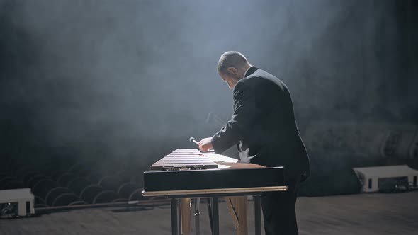 Musician Man Playing Xylophone or Marimba