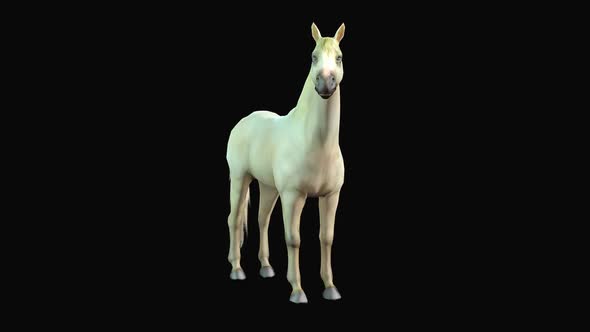 mr horse transitions davinci resolve plugin mr horse transitions davinci resolve plugin