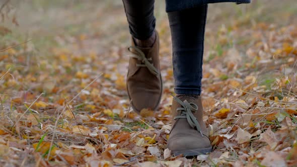 tourist walks in nature alt