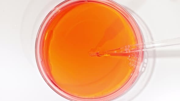 Transparent Red Fluid Oil From a From Pipettes Dripping Into Petri Dishes alt