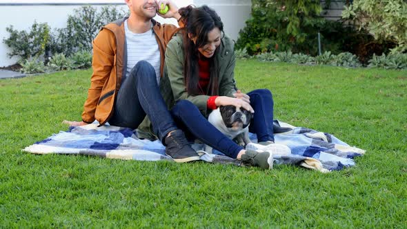 Affectionate couple playing with pet dog 4k alt