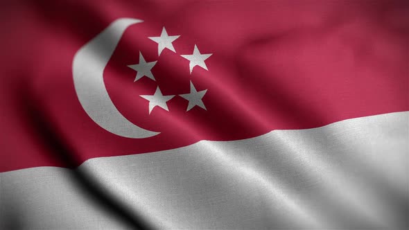 Singapore Flag Closeup Blowing In Wind alt