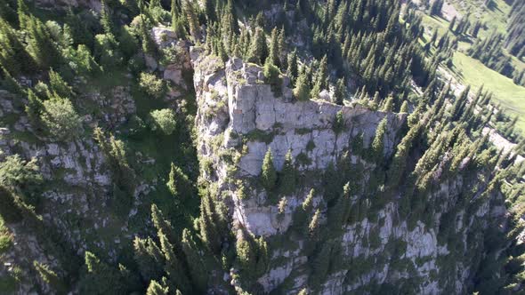 A High Rock in Middle of the Forest in Mountains alt
