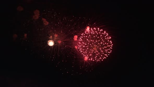 Real Firework Close Up on Deep Black Background Sky on Fireworks Festival From River Bank alt