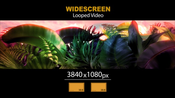 Widescreen Tropical Leaves 08