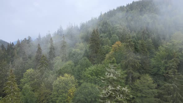Forest in the Mountains. Aerial View of the Carpathian Mountains in Autumn. Ukraine alt