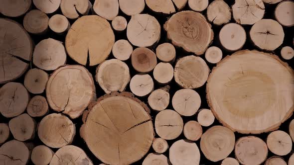 A Lot of Cutted Logs alt