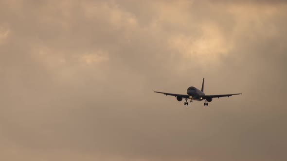 Plane Flies in the Evening Cloudy Sunset Sky