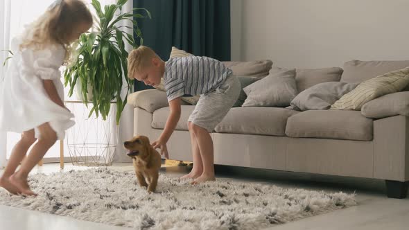 Little boy and girl playing with cocker spaniel puppy in living room alt