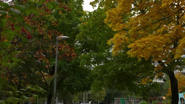 Highrise Residential Building and Autumn Landscape