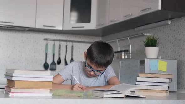 A Boy Does Homework Using Many Textbooks and Books. Portrait of a Schoolboy alt