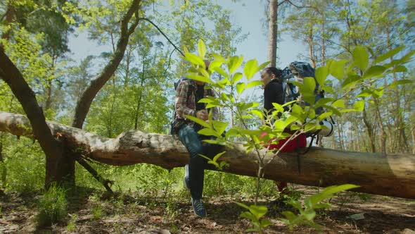 Backpackers Taking a Break During Hike Sitting on Tree Trunk in Nature alt