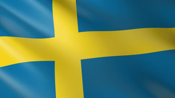 Flag of The Sweden alt