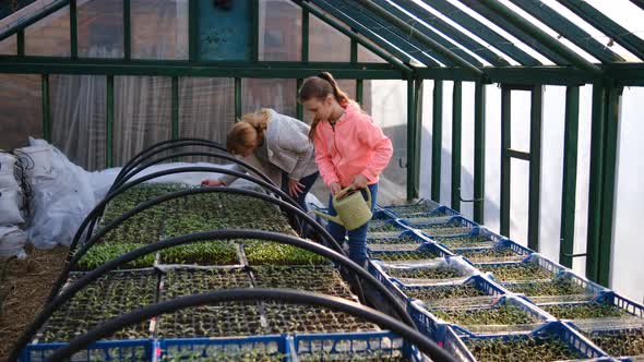 Mother and daughter water the seedlings in a small greenhouse near the house.