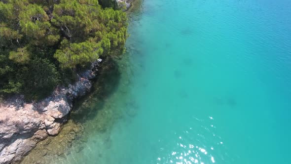 Forested Coastline by the Sea alt