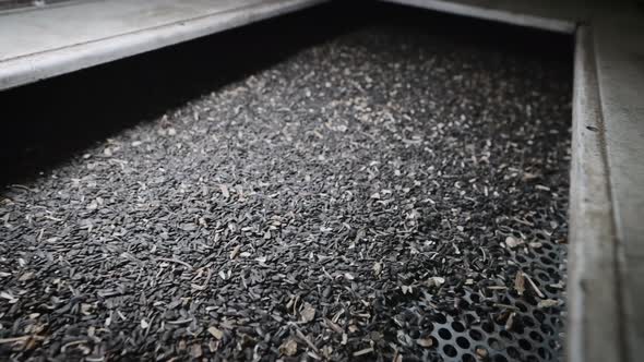 At a Plant for the Production of Sunflower Oil alt