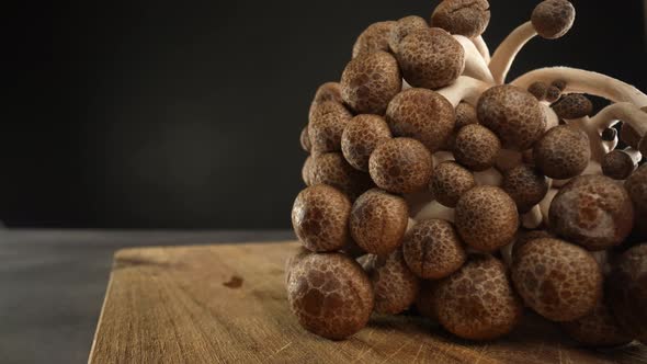 Shimeji Mushrooms 04 alt