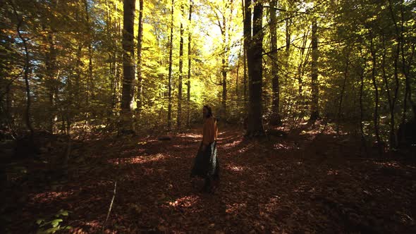 Girl Walks on the Dry Foliage in Scenic Autumn Forest Covered with Fallen Leaves and Golden Sunrays