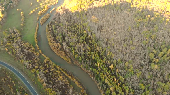 Aerial View From Drone Over a Curve River, Fall Bald Forest and Asphalt Road.