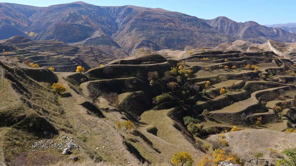 Mountain Terraces in Autumn Under a Clear Sky alt