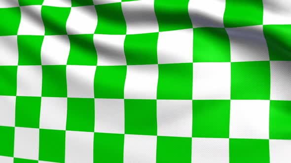 Auto Racing Green White Checkered Flag alt