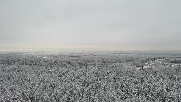 AERIAL: Rotating Shot of Forest and City in the Background on a Winter Day