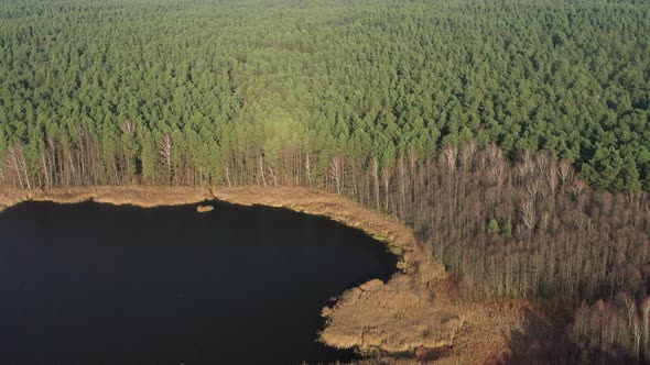 View From the Height of the Lake Papernya in Belarus alt