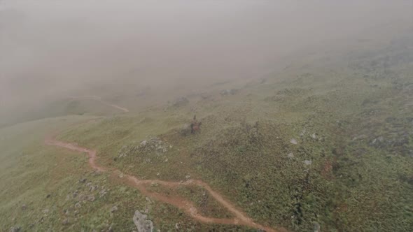 Drone footage of three wild horses running at the top of a mountain with a beautiful landscape scene alt