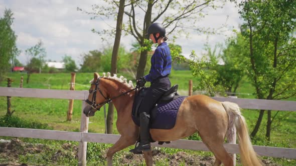 Female Jockey Wearing A Helmet Riding A Beautiful Pearl Horse In The Sandy Arena alt