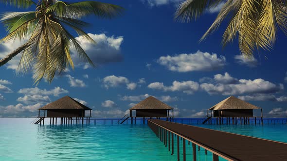 Rest on the sea and on the beach with palm trees. Maldives hotel on the water.