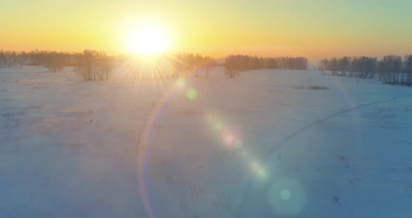 Aerial Drone View of Cold Winter Landscape with Arctic Field Trees Covered with Frost Snow and alt