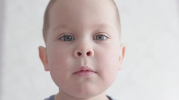Closeup Portrait Face of Caucasian Child Boy Kid Looking Into Camera Talking alt