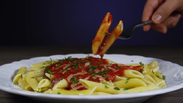 Penne With Tomato Sauce 