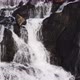 Hraunfossar Falls in Iceland - VideoHive Item for Sale
