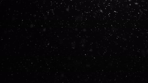 first snow at night against a dark sky