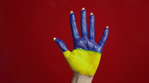Palm of the Girl with the Flag of Ukraine Symbolizes Peace in Her Country alt