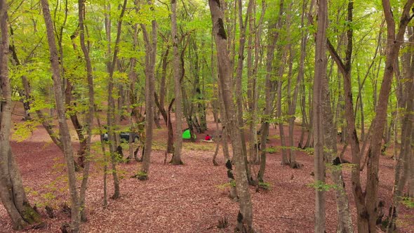 Slow Motion Approaching View Of Person Alone Camping By Fire alt