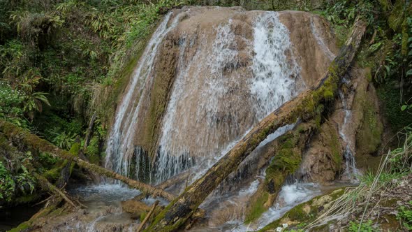 Panning left view of the waterfall with old trees covered by moss alt